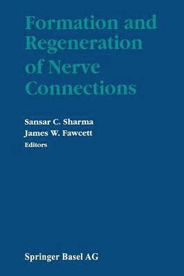 Formation and Regeneration of Nerve Connections 1