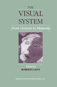 bokomslag Visual System from Genesis to Maturity