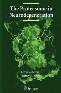 bokomslag The Proteasome in Neurodegeneration
