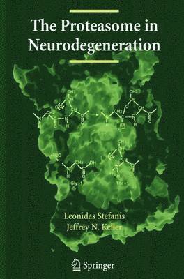 bokomslag Proteasome in Neurodegeneration