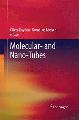 Oliver Hayden, Kornelius Nielsch - Molecular- and Nano-Tubes, Häftad