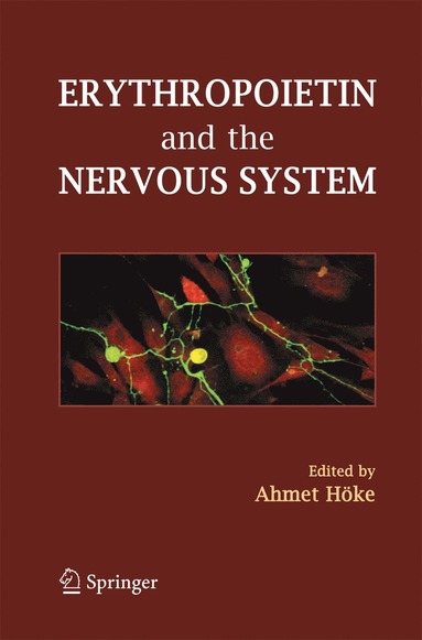 bokomslag Erythropoietin and the Nervous System