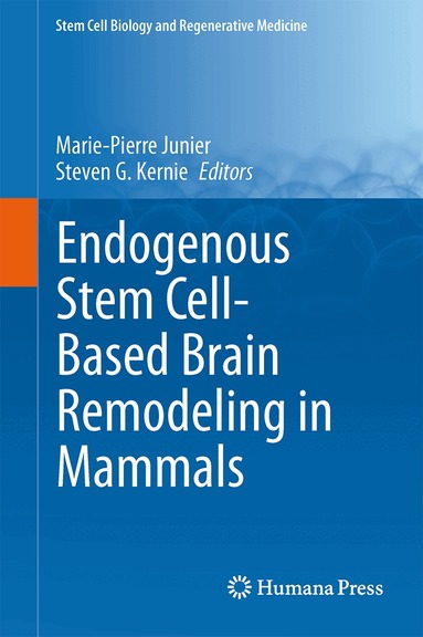 Marie-Pierre Junier, Steven G. Kernie - Endogenous Stem Cell-Based Brain Remodeling in Mammals, Inbunden