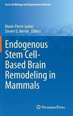 Marie-Pierre Junier, Steven G. Kernie - Endogenous Stem Cell-Based Brain Remodeling in Mammals, Inbunden