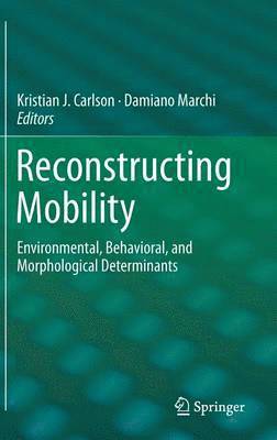 Reconstructing Mobility