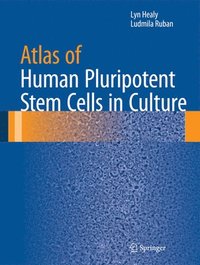bokomslag Atlas of Human Pluripotent Stem Cells in Culture