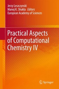 bokomslag Practical Aspects of Computational Chemistry IV