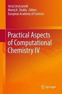 bokomslag Practical Aspects of Computational Chemistry IV