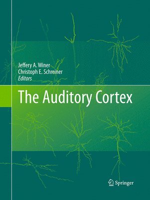 bokomslag The Auditory Cortex