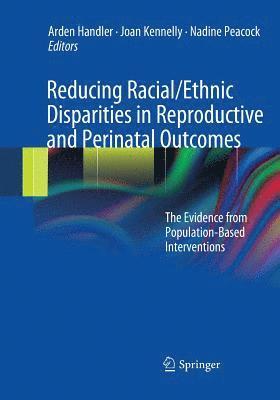 bokomslag Reducing Racial/Ethnic Disparities in Reproductive and Perinatal Outcomes