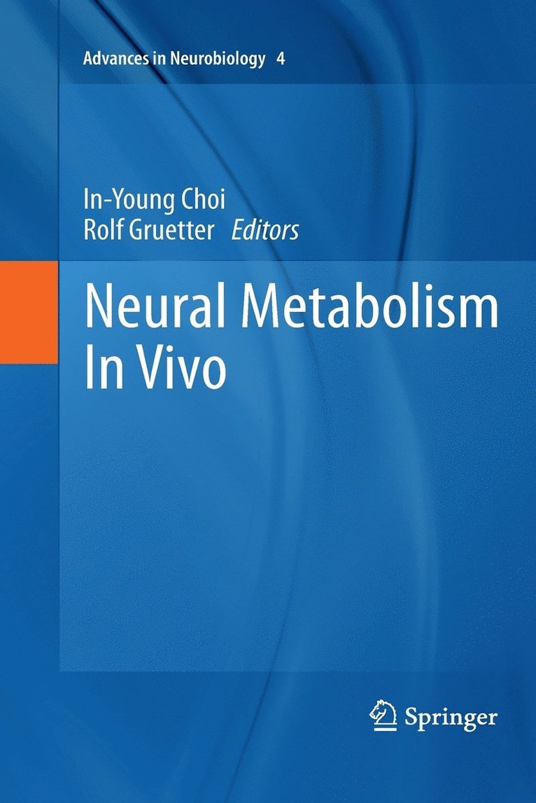 In-Young Choi, Rolf Gruetter - Neural Metabolism In Vivo, Häftad