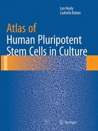 bokomslag Atlas of Human Pluripotent Stem Cells in Culture