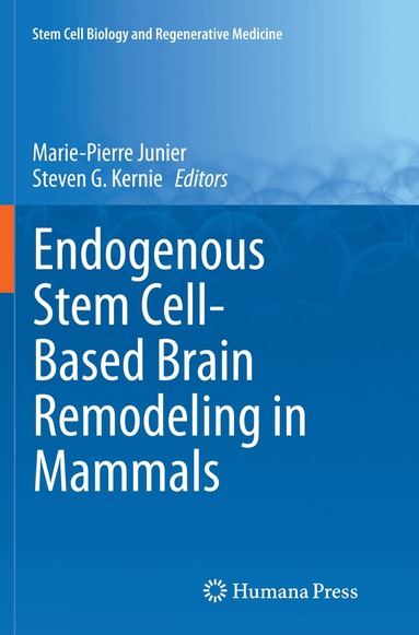 Marie-Pierre Junier, Steven G. Kernie - Endogenous Stem Cell-Based Brain Remodeling in Mammals, Häftad