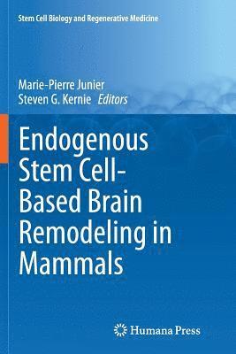 bokomslag Endogenous Stem Cell-Based Brain Remodeling in Mammals