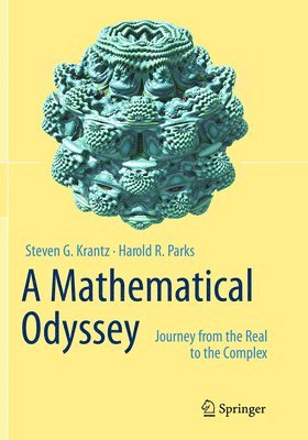 A Mathematical Odyssey 1