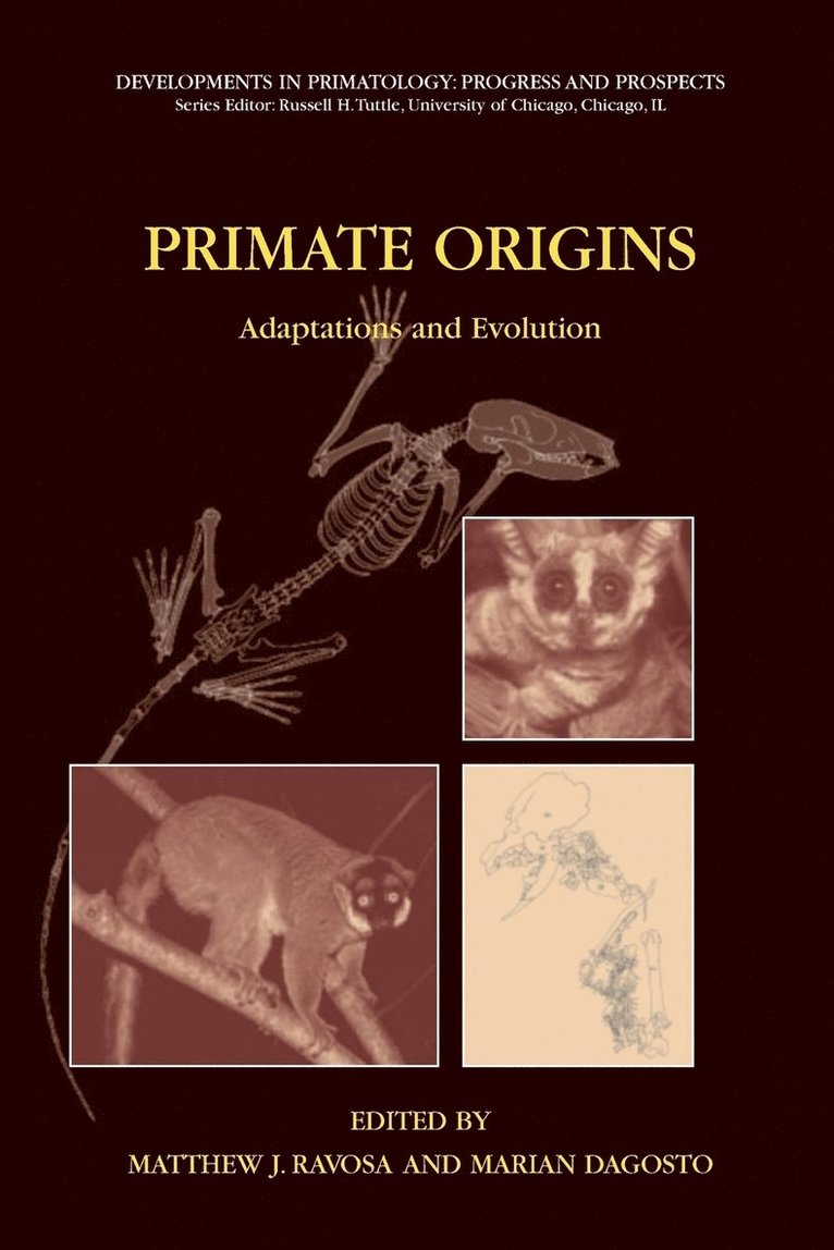 Primate Origins: Adaptations and Evolution 1