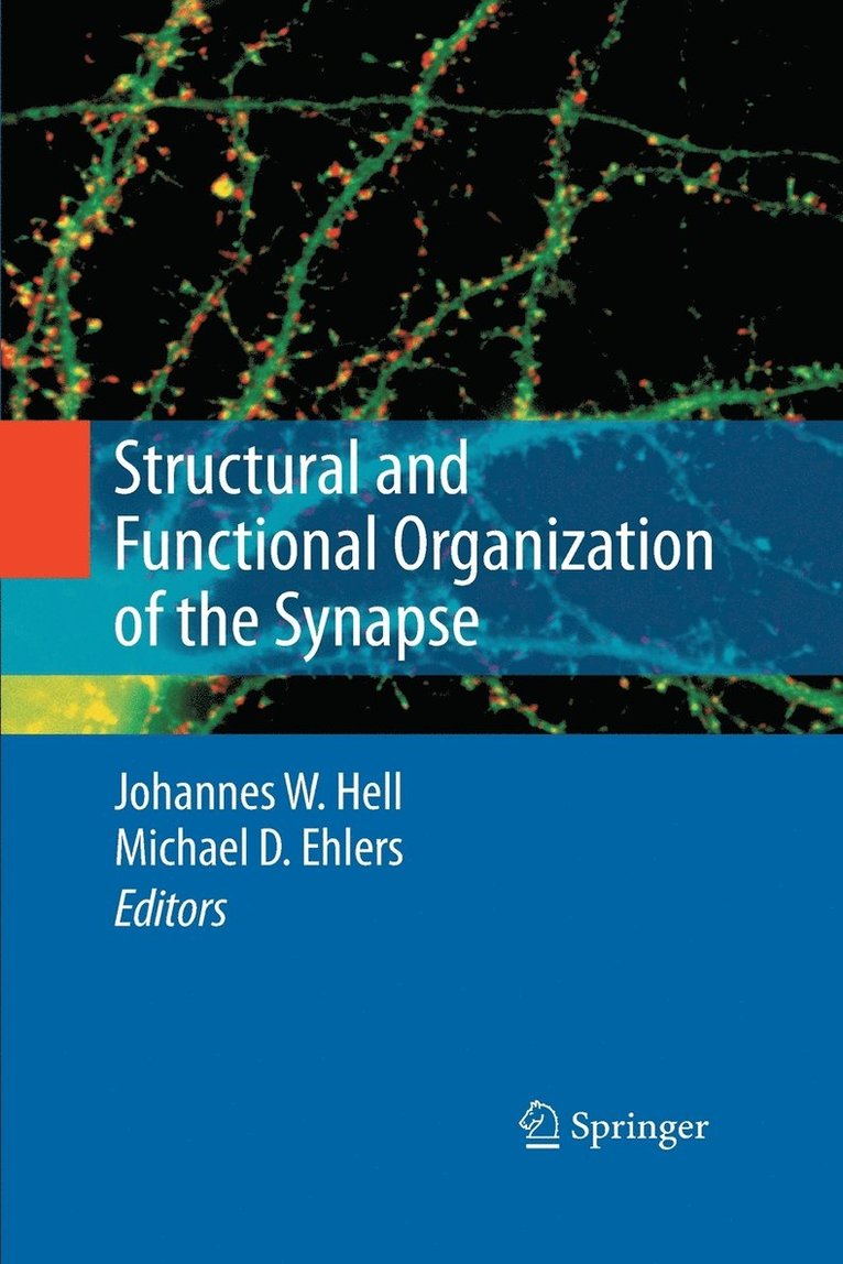Structural and Functional Organization of the Synapse 1