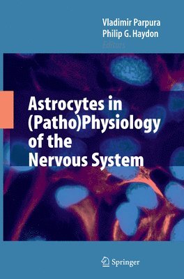 bokomslag Astrocytes in (Patho)Physiology of the Nervous System