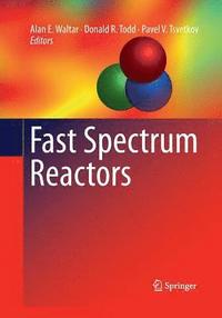 bokomslag Fast Spectrum Reactors