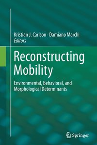 bokomslag Reconstructing Mobility