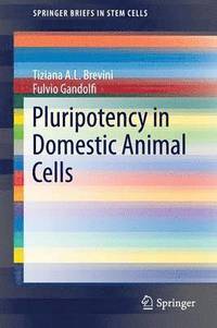 bokomslag Pluripotency in Domestic Animal Cells