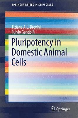 Tiziana A.L. Brevini, Fulvio Gandolfi, Tiziana A. L. Brevini - Pluripotency in Domestic Animal Cells, Häftad