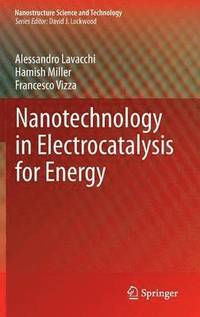 bokomslag Nanotechnology in Electrocatalysis for Energy