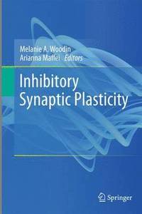 bokomslag Inhibitory Synaptic Plasticity