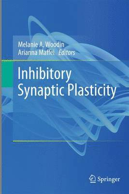 Inhibitory Synaptic Plasticity 1