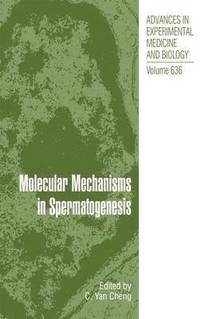 bokomslag Molecular Mechanisms in Spermatogenesis