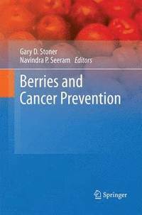 bokomslag Berries and Cancer Prevention