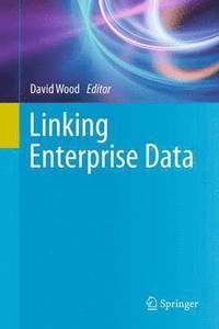 bokomslag Linking Enterprise Data