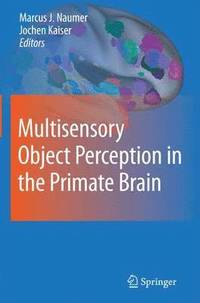 bokomslag Multisensory Object Perception in the Primate Brain