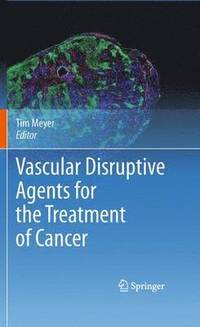 bokomslag Vascular Disruptive Agents for the Treatment of Cancer