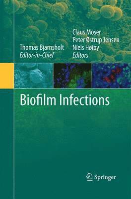 bokomslag Biofilm Infections