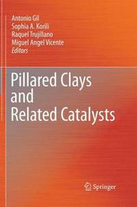 bokomslag Pillared Clays and Related Catalysts