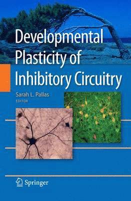 bokomslag Developmental Plasticity of Inhibitory Circuitry