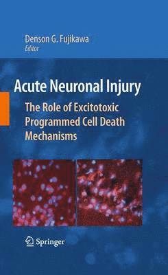 bokomslag Acute Neuronal Injury