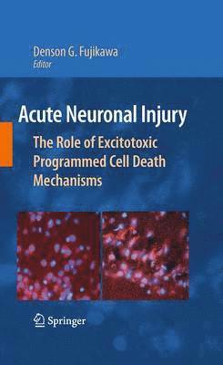 Acute Neuronal Injury
