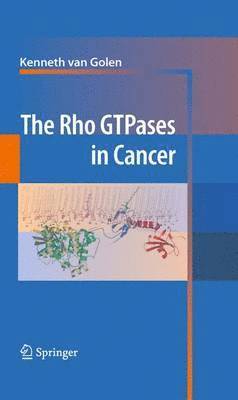 The Rho GTPases in Cancer 1