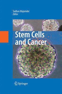 bokomslag Stem Cells and Cancer