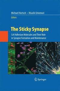 bokomslag The Sticky Synapse