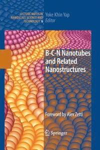 bokomslag B-C-N Nanotubes and Related Nanostructures