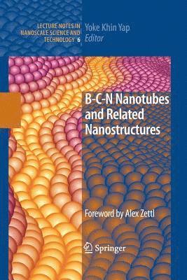 B-C-N Nanotubes and Related Nanostructures 1