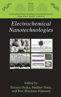 bokomslag Electrochemical Nanotechnologies