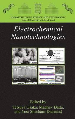 bokomslag Electrochemical Nanotechnologies