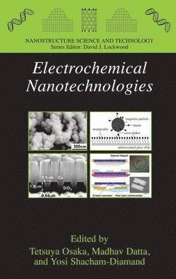 Electrochemical Nanotechnologies 1