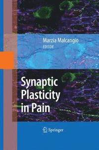 bokomslag Synaptic Plasticity in Pain