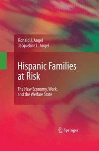 bokomslag Hispanic Families at Risk