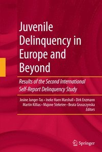 bokomslag Juvenile Delinquency in Europe and Beyond